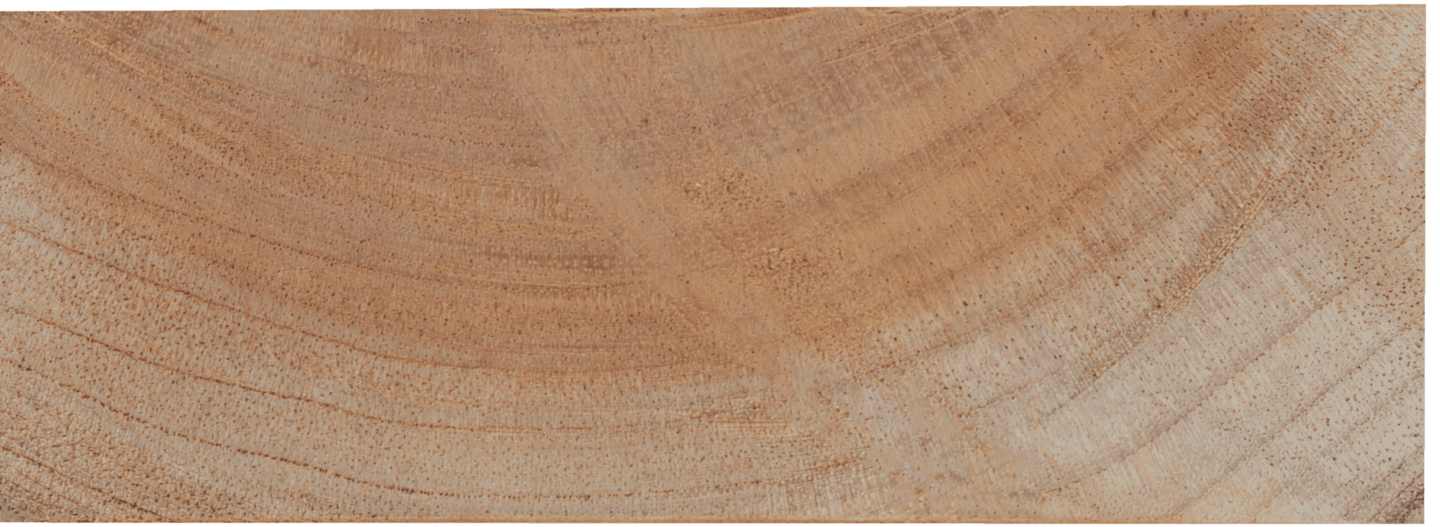 P26 Cedro V01 1