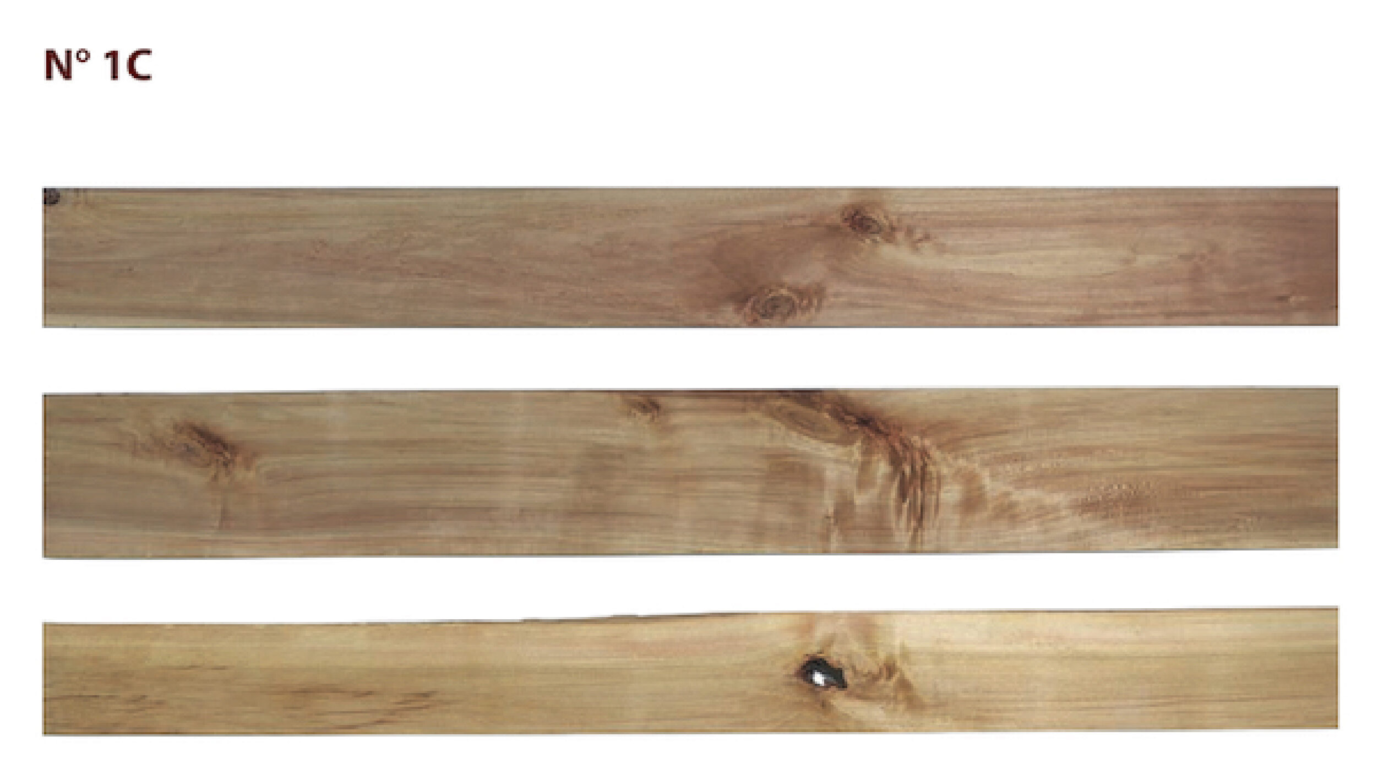 Cotton wood 1c