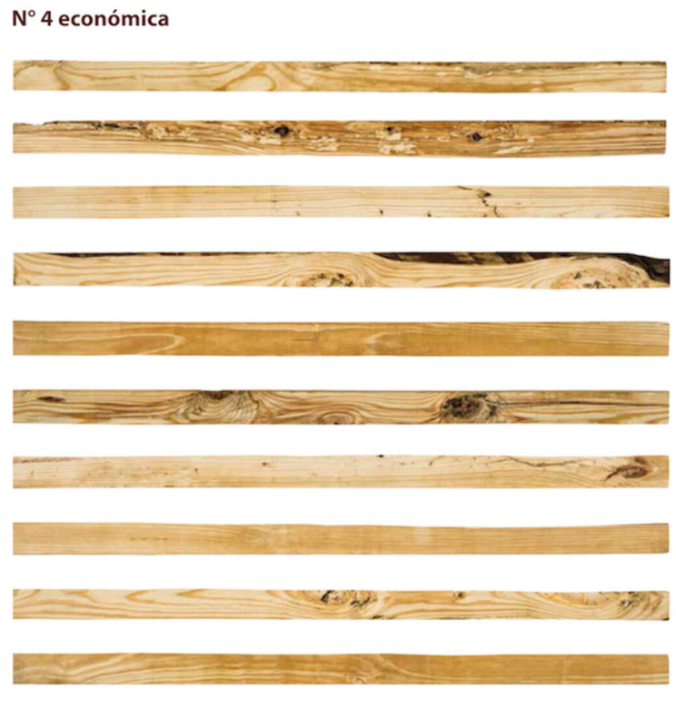 Pino amarillo 4 económica