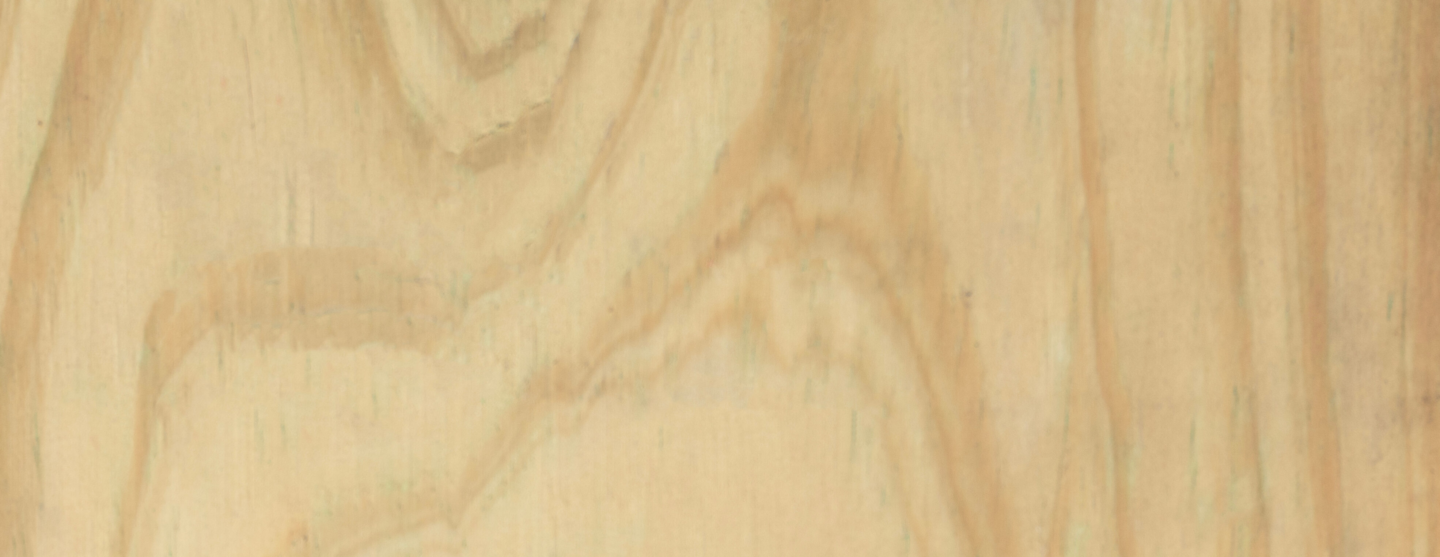 P02 Pino CCA V01 crop