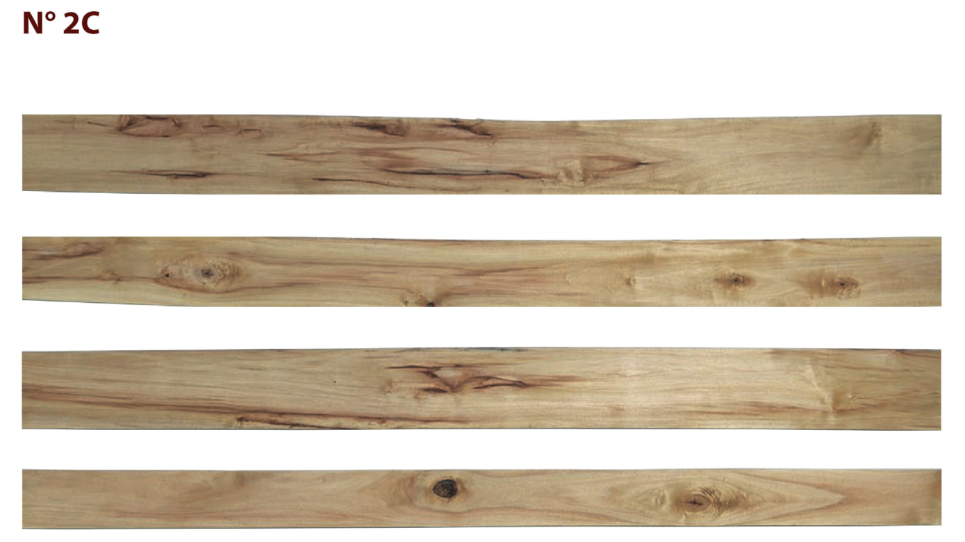 Cotton wood N2 C v2