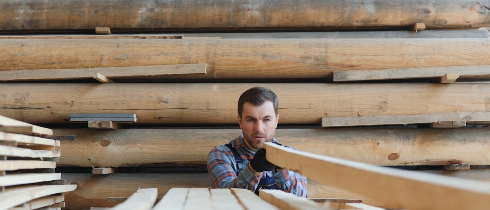Secado de la madera Por qué es clave antes de fabricar